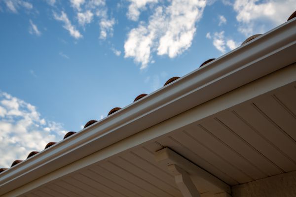 Cost of K Style Gutter Installation in Elk Grove